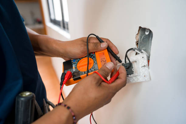 Best Electrician for Home Renovation  in Edwardsburg, MI
